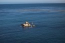 SealsMBA * 1800 x 1200 * (518KB)