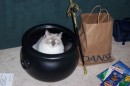 HalloweenKitty_resize * 800 x 533 * (144KB)