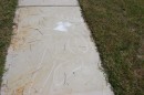 Sidewalk3_resize * 800 x 533 * (170KB)