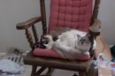 DCP_0817 * 1800 x 1200 * (418KB)