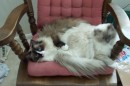 DCP_0819 * 1800 x 1200 * (434KB)