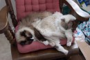 DCP_0822 * 1800 x 1200 * (477KB)