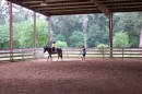 ZanLunge * 1800 x 1200 * (422KB)