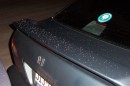 snow3 * 1800 x 1200 * (490KB)