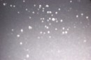 snow5 * 1800 x 1200 * (246KB)