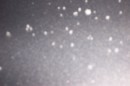snow7 * 1800 x 1200 * (264KB)